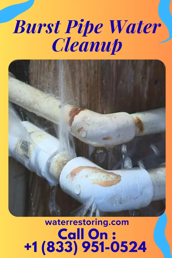 Burst Pipe Water Cleanup in Tatum, SC