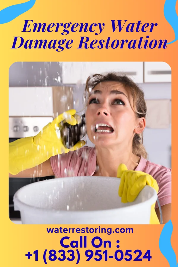 Emergency Water Damage Restoration in Tatum, SC