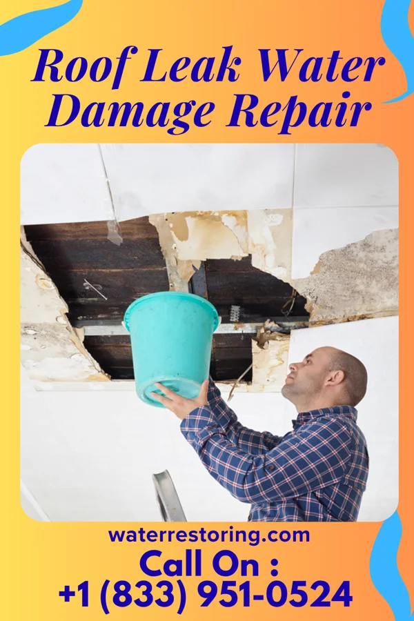 Roof Leak Water Damage Repair in Tatum, SC